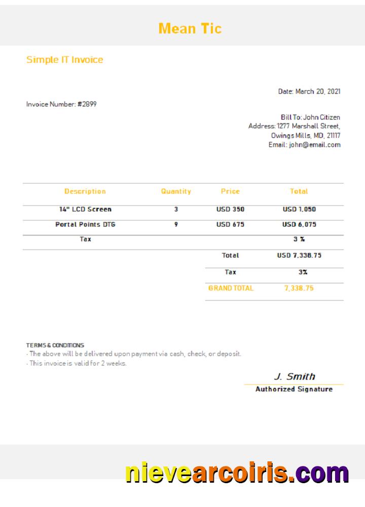 USA Mean Tic invoice